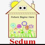 Sedum School