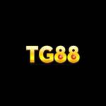 TG88 Codes