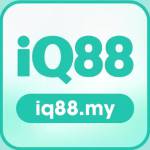 Iq My