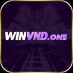 winvnd one