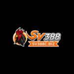 Sv INVALID_NAME