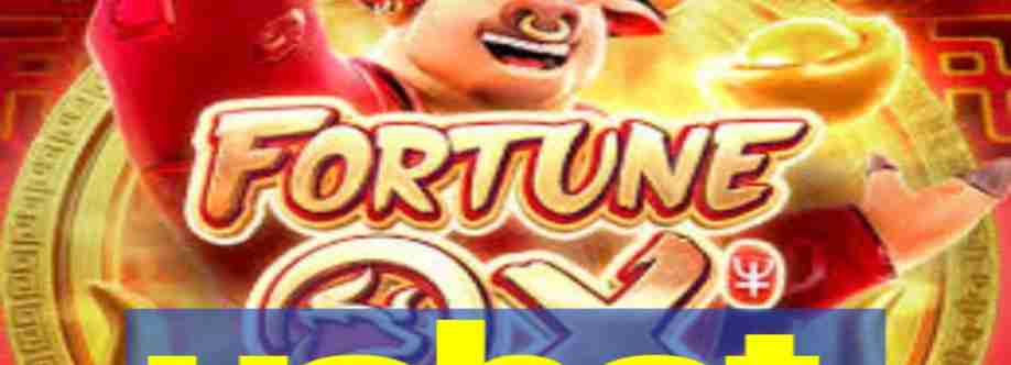 usbet net