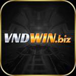 vndwinbiz vndwinbiz