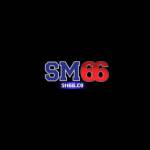 Sm Co