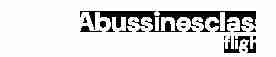 abusiness classflight