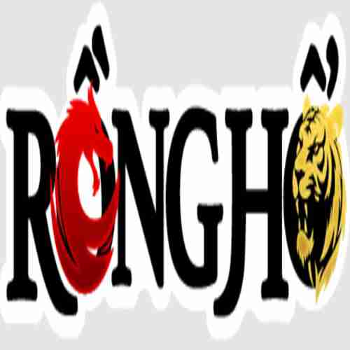 RONGHO99