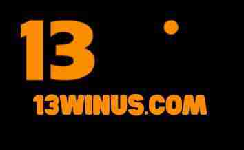 13winus Com