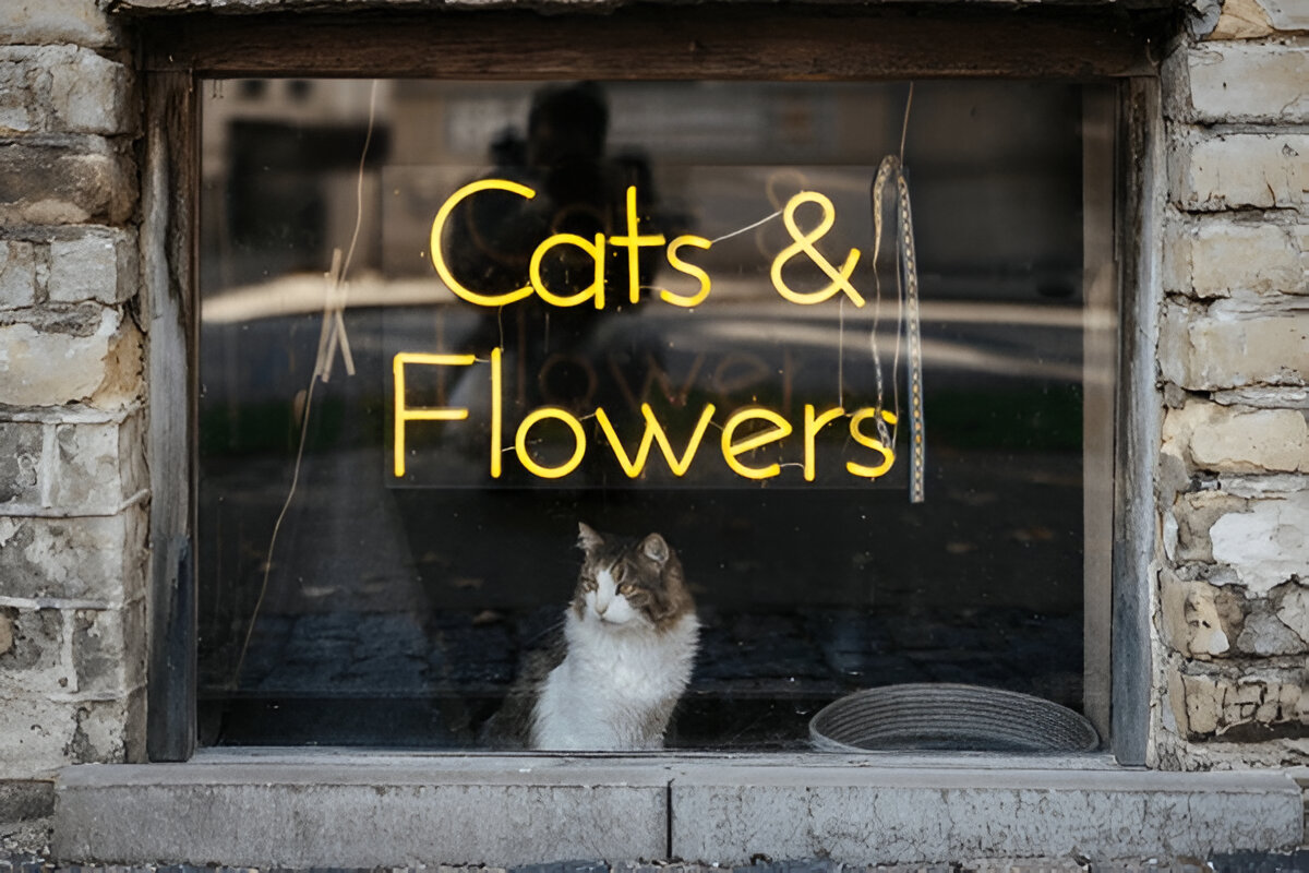 How a Neon Sign Shop Helps Small Businesses Attract More Customers