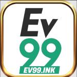 Ev Ink