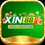 Xin Ventures