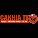 festivalcruises com thao túng kết quả
