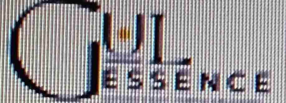 Gulessence Seotech