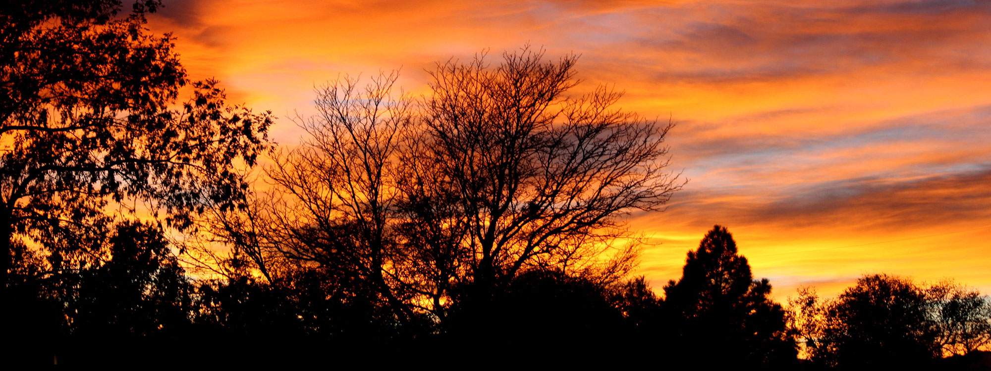 Pearlman & Associates St Louis Therapy & CounselingPearlman & Associates