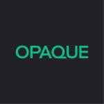 Opaque INVALID_NAME