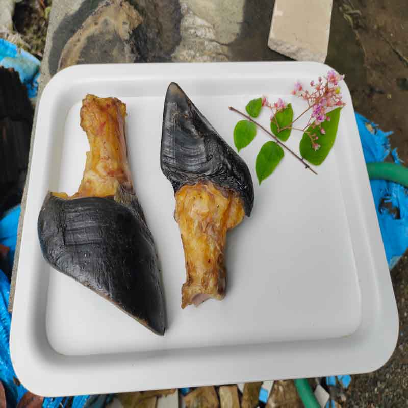 Meaty Bone Chew | Chew Bones for Dogs | Natural Dog Bones