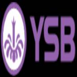 Ysb Xncom
