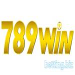 Win INVALID_NAME