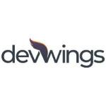 Devwings INVALID_NAME