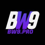 Bw Pro