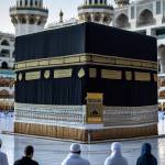 Hajar Travels