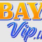 Bayvip Li