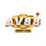 Av INVALID_NAME