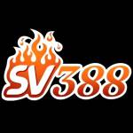 Sv INVALID_NAME