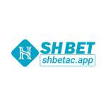 Shbet Cổng Cá Cược Trực Tuyến