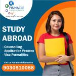 Pinnacle Overseas Consultants