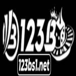 Bs Net
