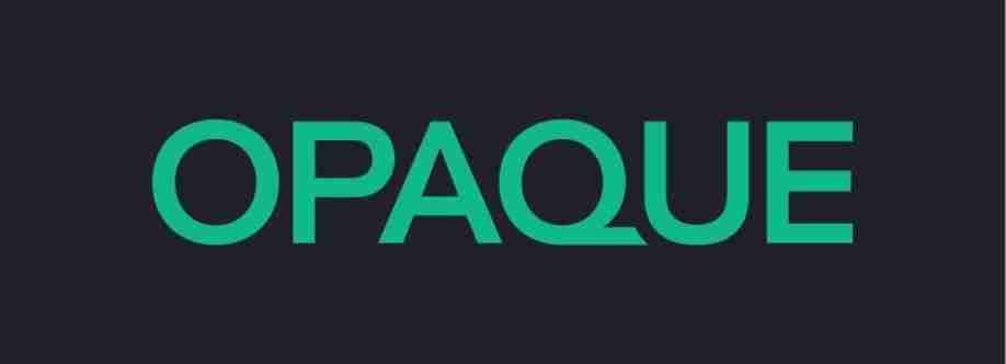 Opaque INVALID_NAME