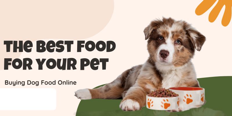 Buy Dog Food Online in India | Petritive