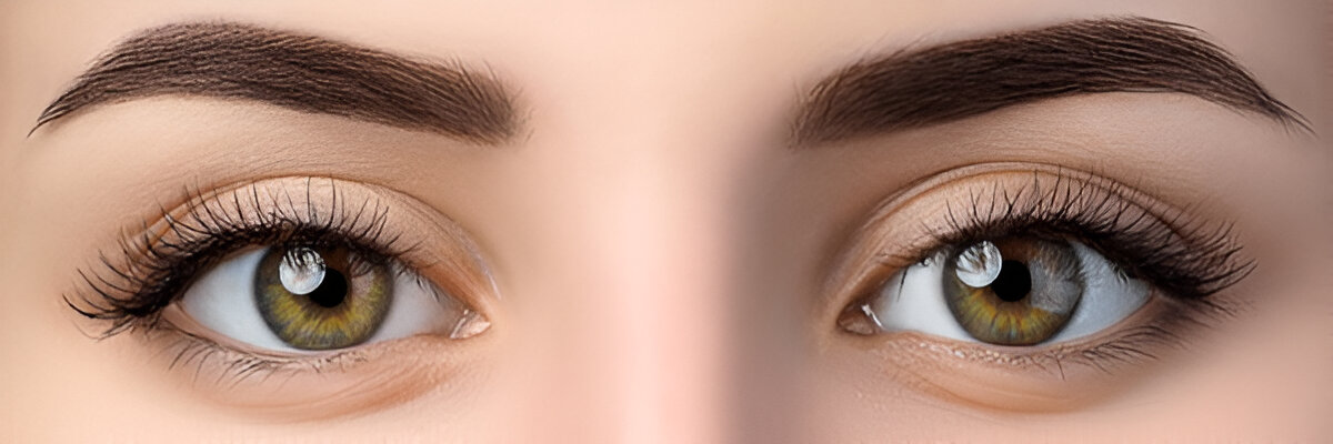 How Eyebrow Bars Are Leading with Eco-Conscious, Natural Brow Care – Writoka
