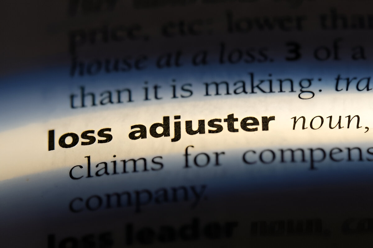Why Hiring a Loss Adjuster Matters After Hurricanes and Wildfires? – Writoka