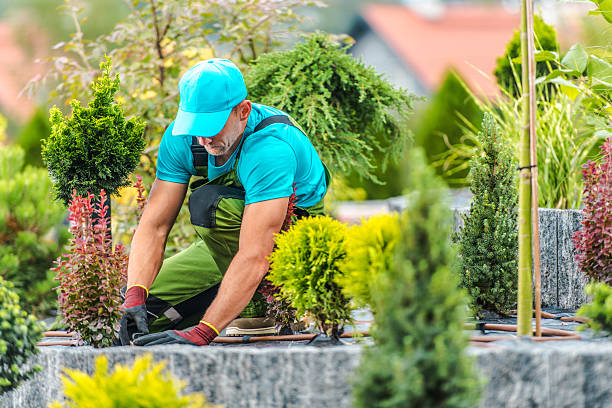 Can A Landscaper Turn Your Small Backyard Into A Dream Space? – View Pen