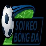 Soikeobongda Net