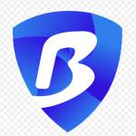 bitbrowser wser