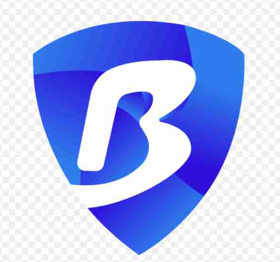 bitbrowser wser