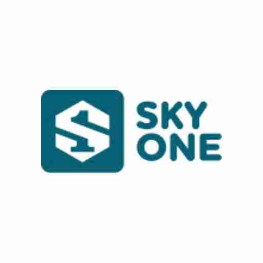 SKYONE 包网