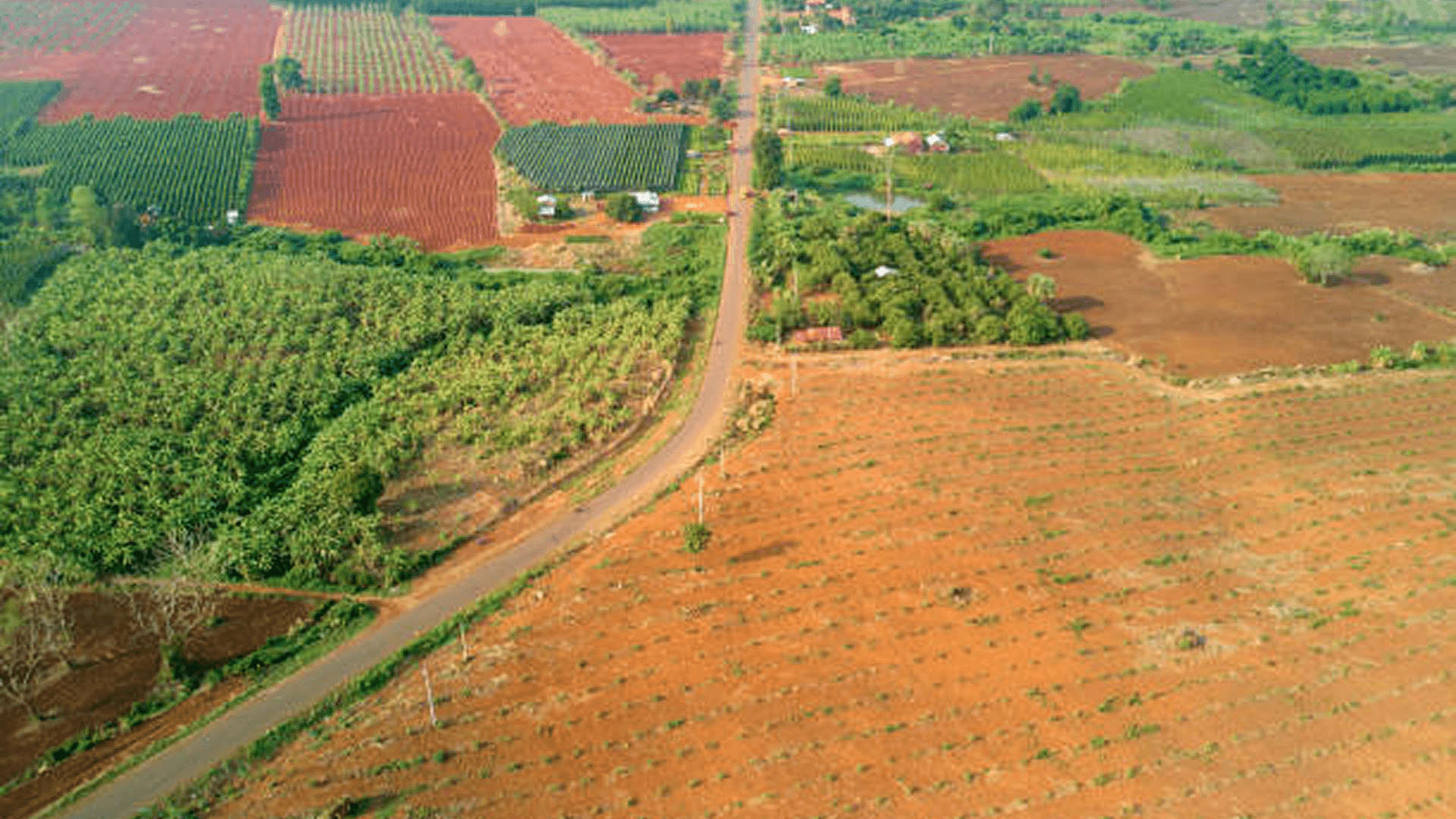 Luxury Villa Plots Near Devanahalli: Invest in a Greener Tomorrow with Hosachiguru