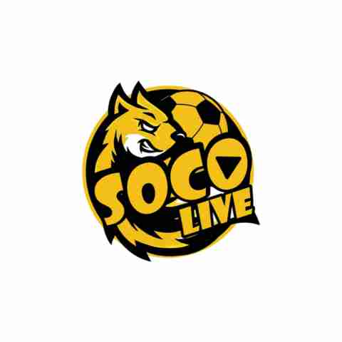 socolivecorgigroup