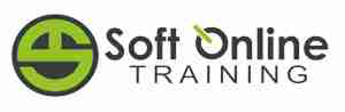 SoftOnline Training
