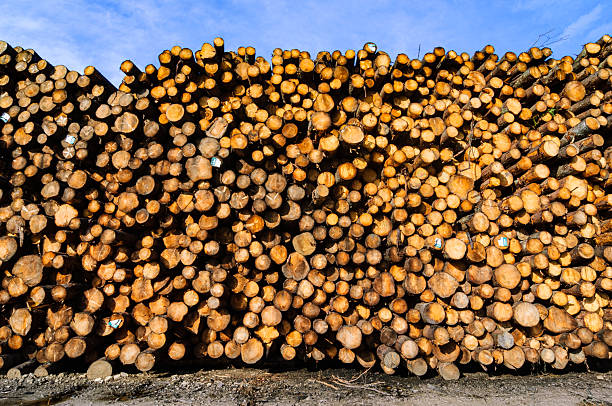 How to Schedule Regular Deliveries With Your Firewood Supplier
