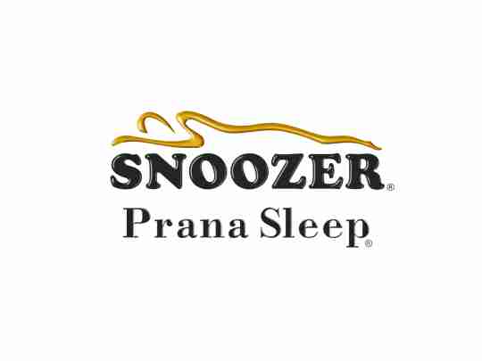 Snoozer Mattress